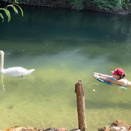 Gite De Vacances Jardin Monet Giverny Vernon Sainte-Genevieve-les-Gasny Exterior foto